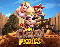 Three Crazy Piggies