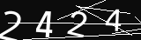 verifycode
